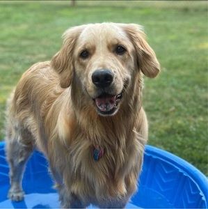 Meet your Posher, Diane